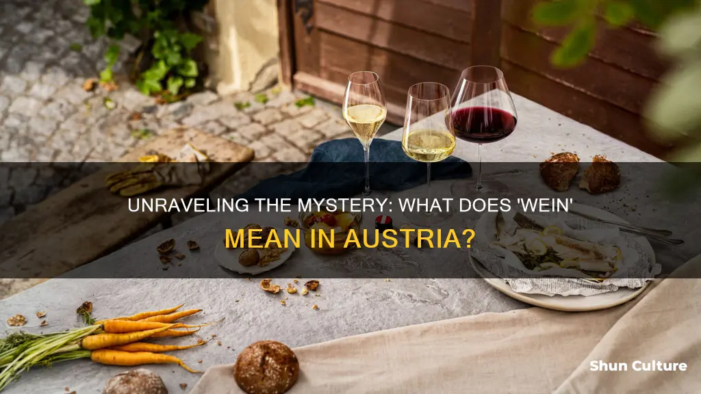 what does wein mean in austria