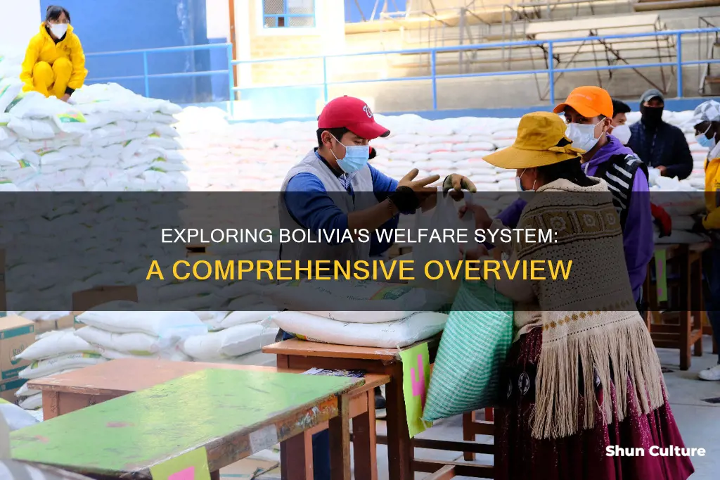 what does welfare look like in bolivia