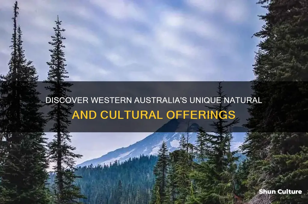 what does western australia have to offer
