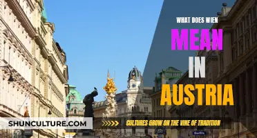 Unveiling Vienna's Meaning: A Cultural Journey in Austria