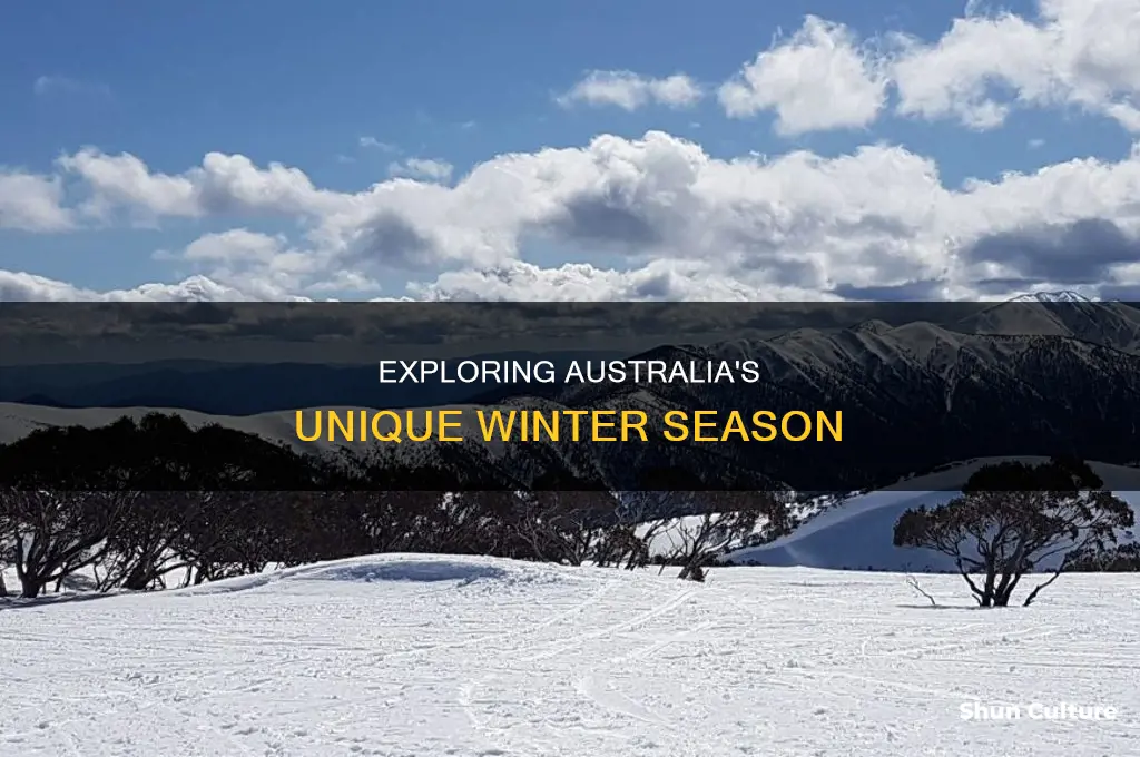 what does winter in australia look like