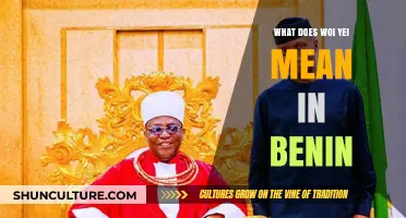 Exploring the Meaning of 'Woi Yei' in Benin: A Cultural Insight