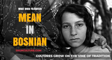 Understanding the Meaning of 'Ya Hafizu' in Bosnian Language and Culture