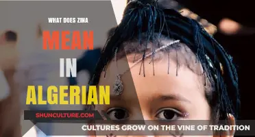 Understanding Zina: Its Meaning and Cultural Significance in Algerian Society