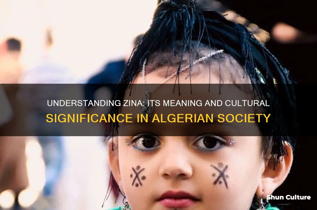 what does zina mean in algerian