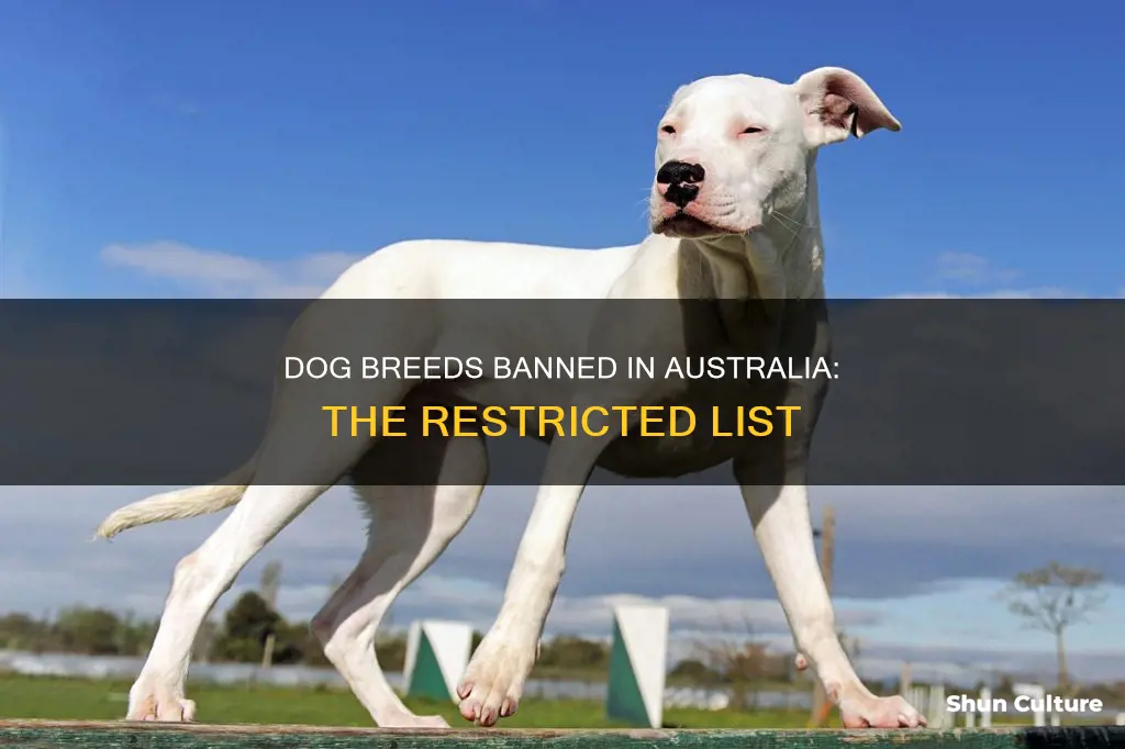 what dog breeds are banned in australia