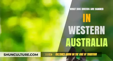 Dog Breeds Banned in Western Australia: The Full List