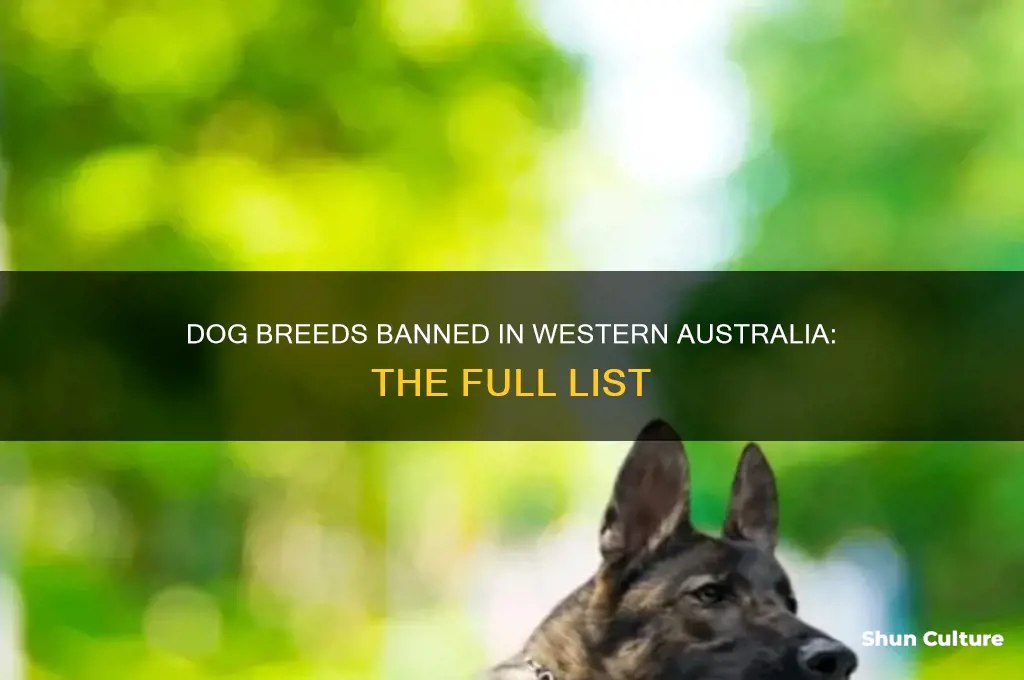 what dog breeds are banned in western australia