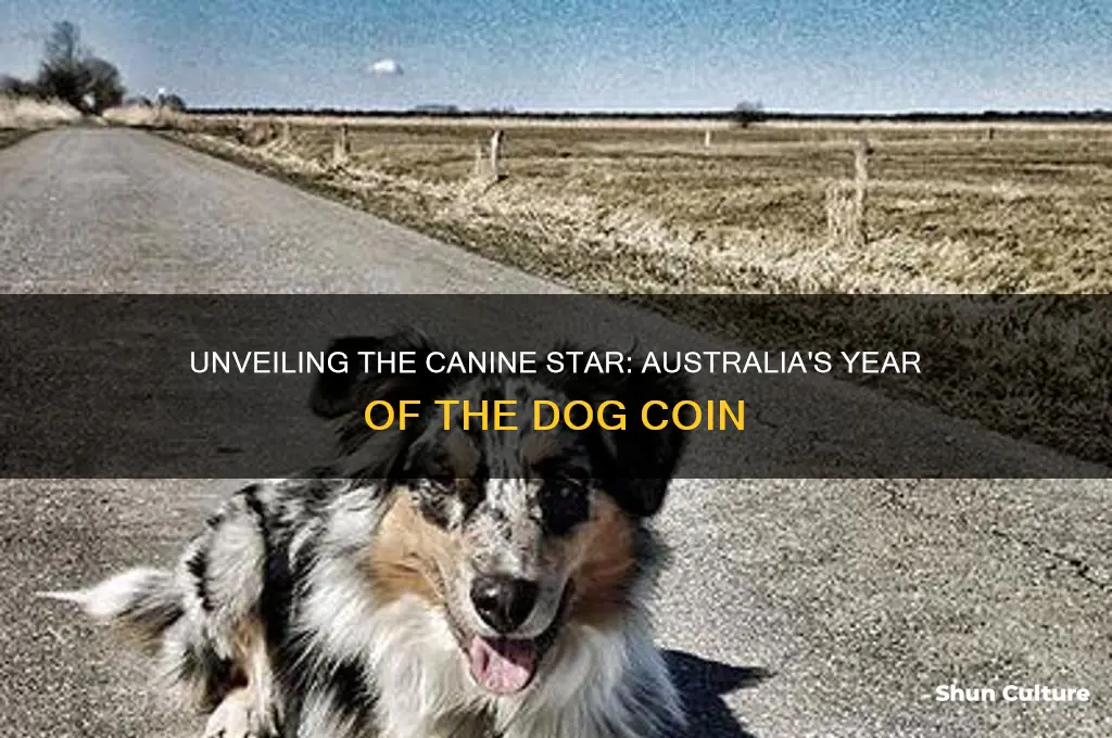 what dog is on australian year of the dog coin