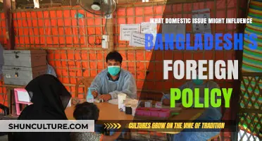 Domestic Challenges Shaping Bangladesh's Foreign Policy Decisions and Global Engagement