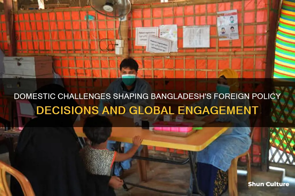 what domestic issue might influence bangladesh