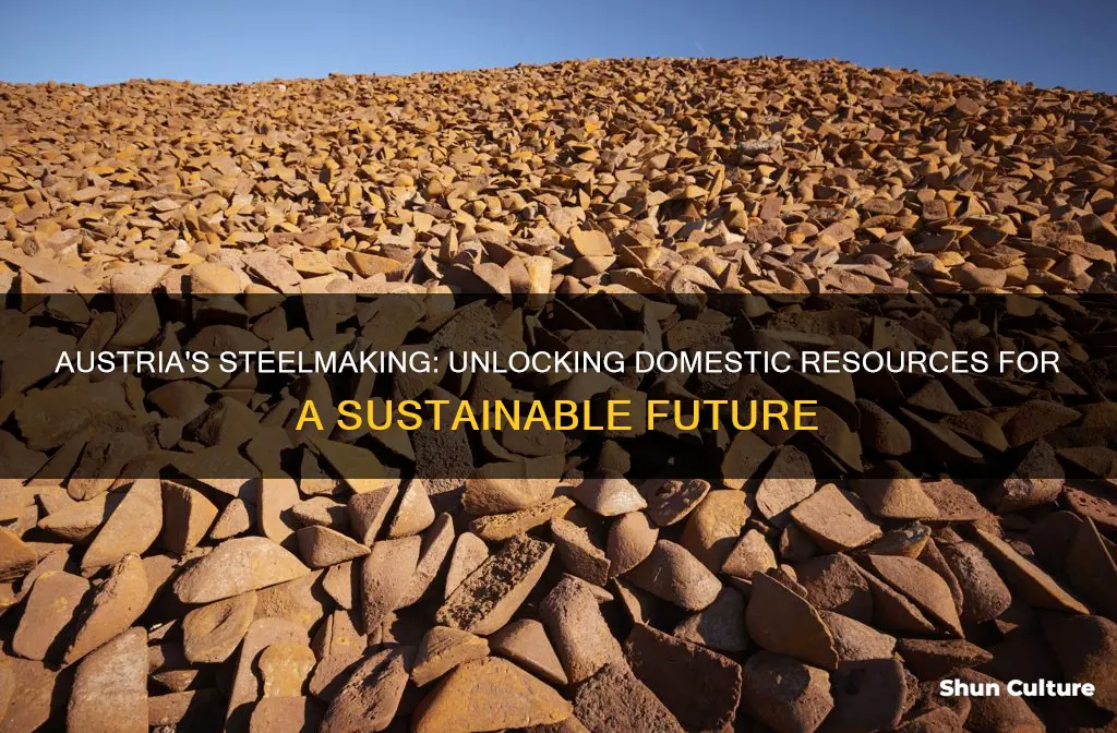 what domestic resources are needed to make steel in austria