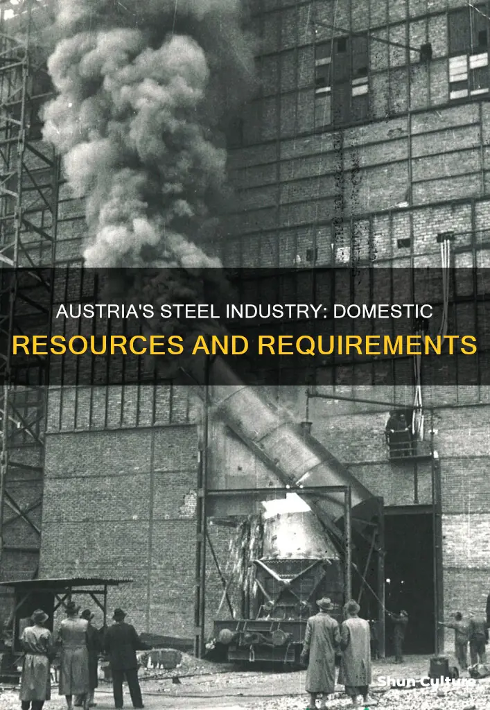 what domestic resources are needed to make steel in austria