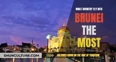 Which Country's Citizens Fly into Brunei the Most?