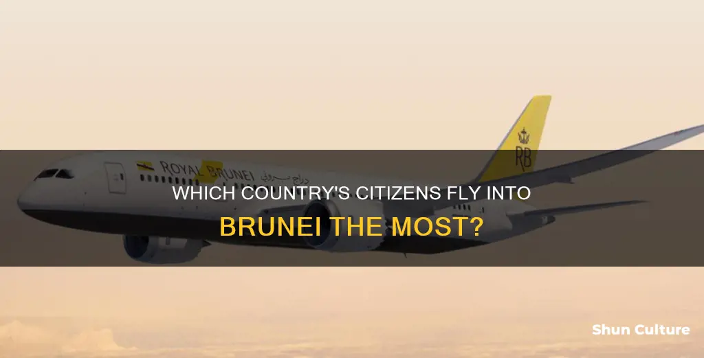 what dountry fly into brunei the most