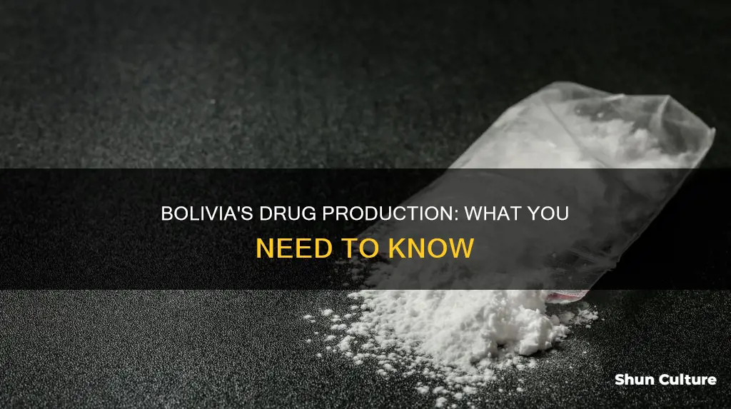 what drug bolivia produce