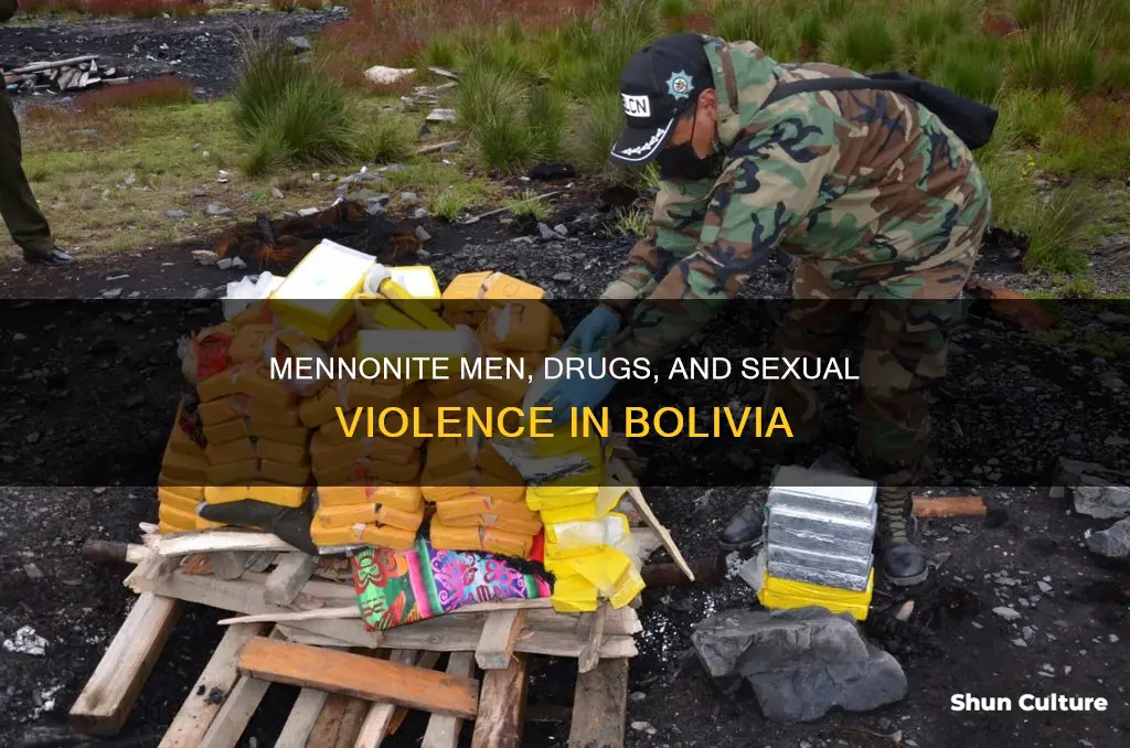 what drug used bolivia mennonite rapes