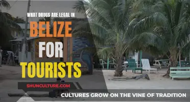 Belize's Legal Drugs: A Tourist's Guide to Staying Safe