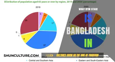 Bangladesh's Demographic Transition: Current DTM Stage and Future Trends