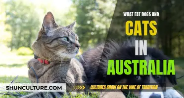 Pet Food Preferences of Australian Cats and Dogs