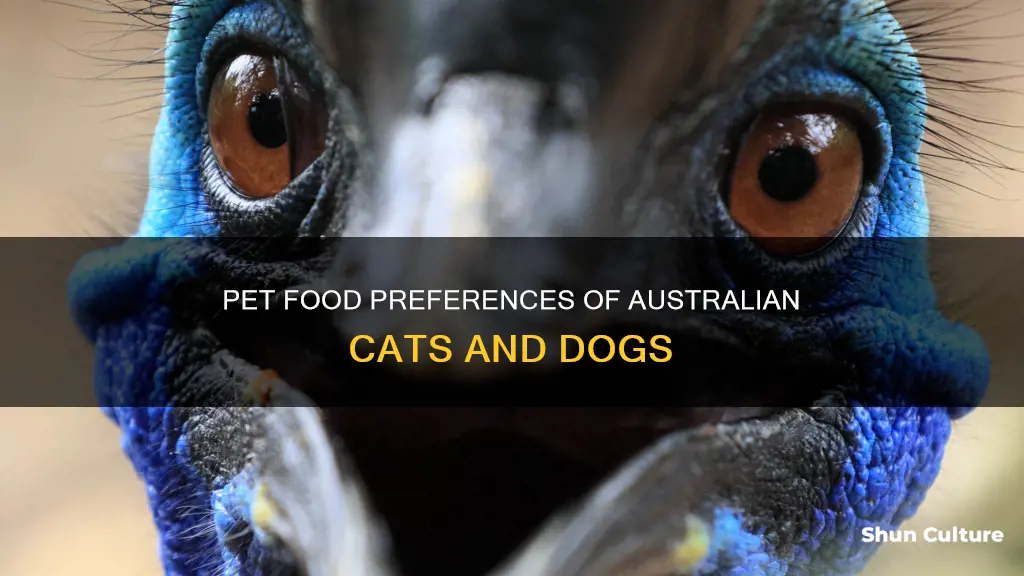 what eat dogs and cats in australia