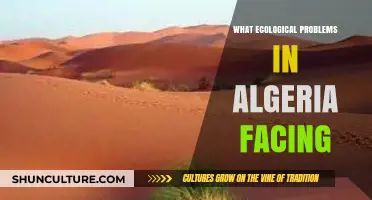 Algeria's Ecological Crisis: Desertification, Pollution, and Biodiversity Loss Explored