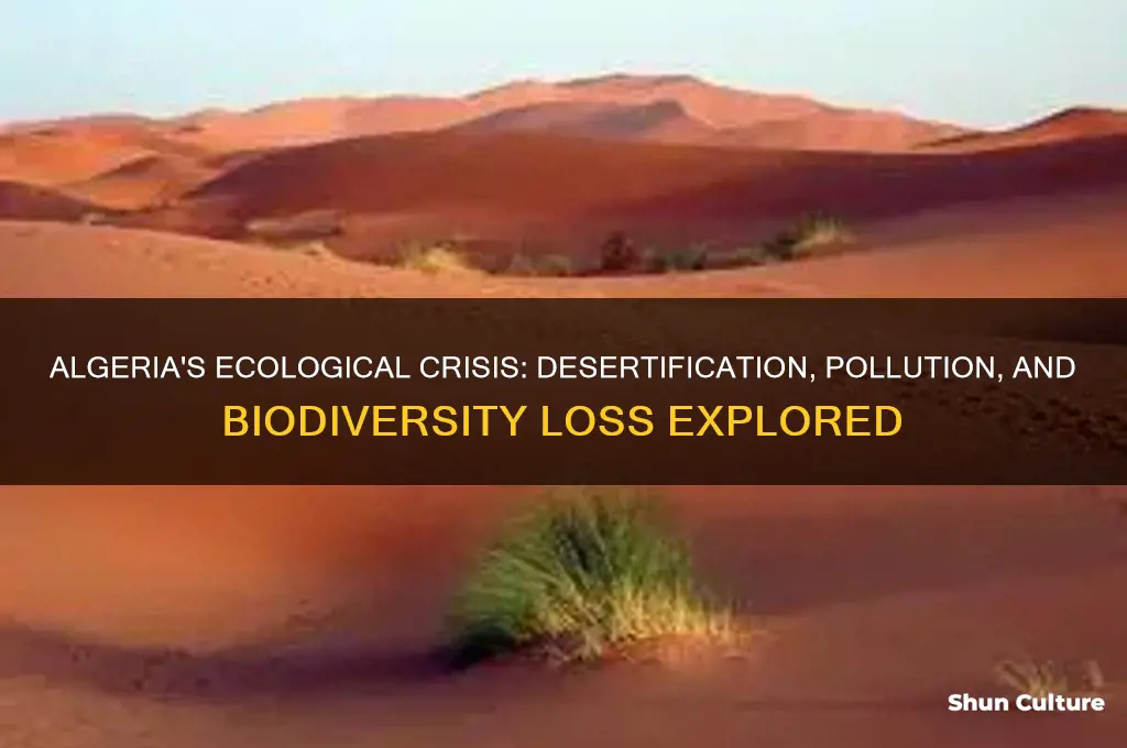 what ecological problems in algeria facing