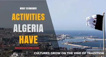 Exploring Algeria's Diverse Economic Activities: Industries, Resources, and Growth