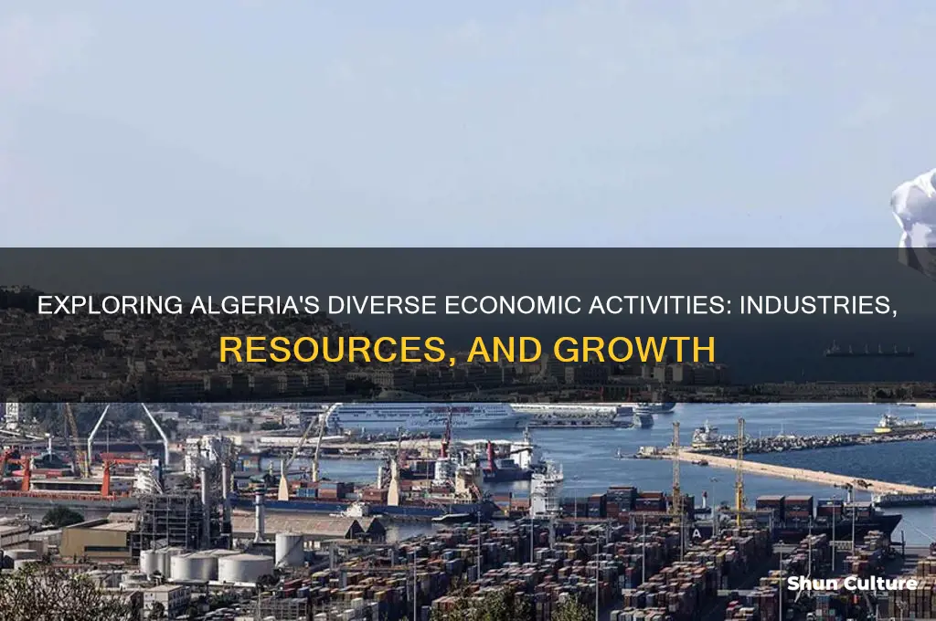 what economic activities algeria have