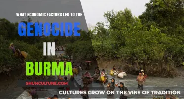 Economic Roots of Tragedy: Uncovering the Factors Behind Burma's Genocide