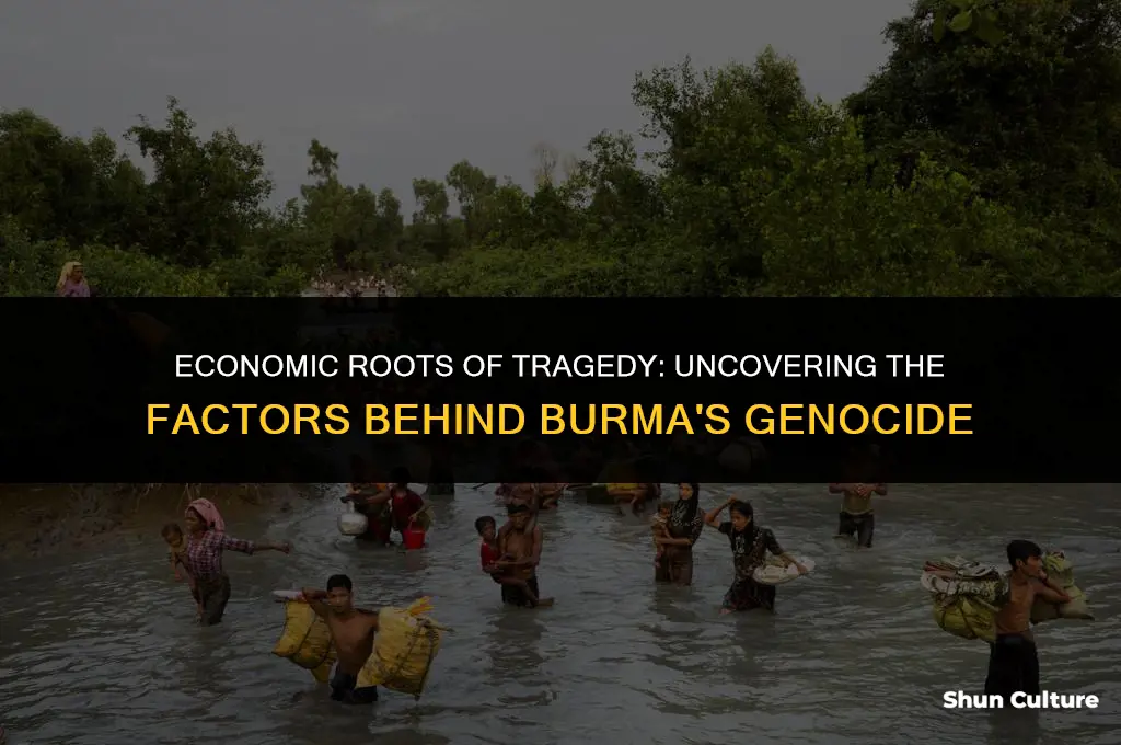 what economic factors led to the genocide in burma