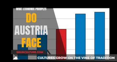 Austria's Economic Challenges: Navigating Inflation, Labor Shortages, and Global Competition