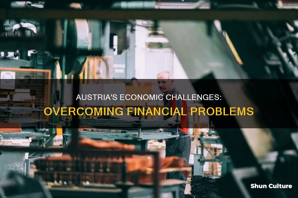 what economic probples do austria face