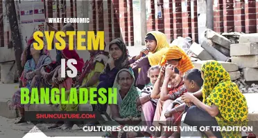 Exploring Bangladesh's Economic System: A Mixed Model in Action