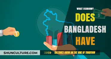 Exploring Bangladesh's Economy: A Developing Nation's Growth and Challenges
