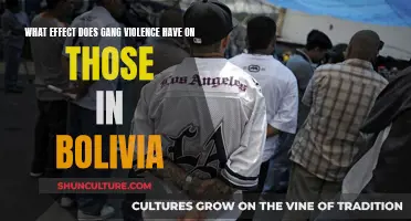 Gang Violence's Impact on Bolivian Communities