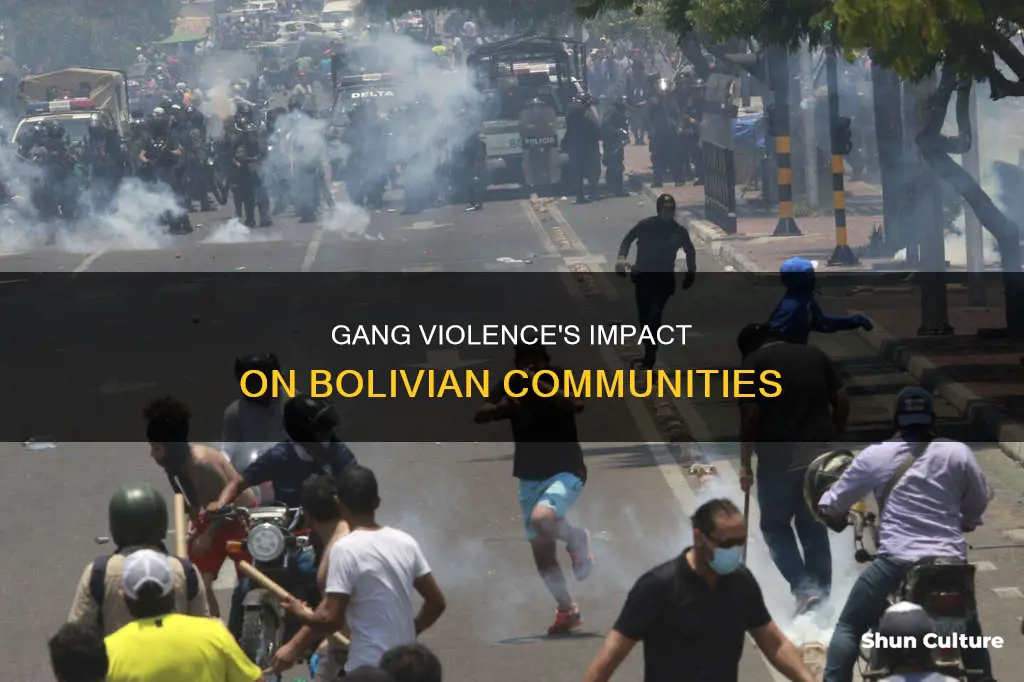 what effect does gang violence have on those in bolivia