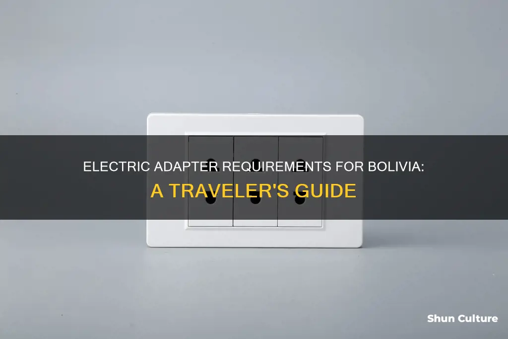 what electric adapter for bolivia