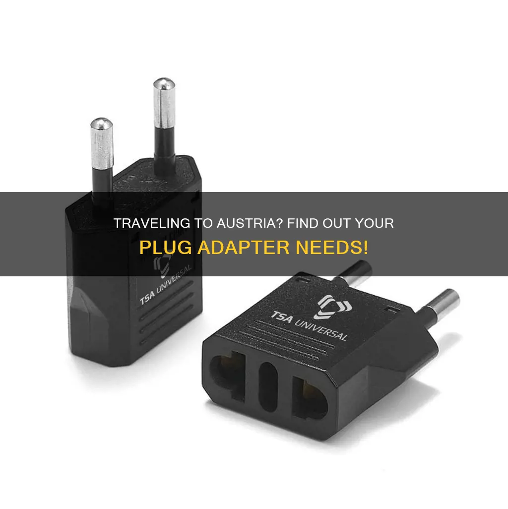 what electric plug adapter is needed for austria