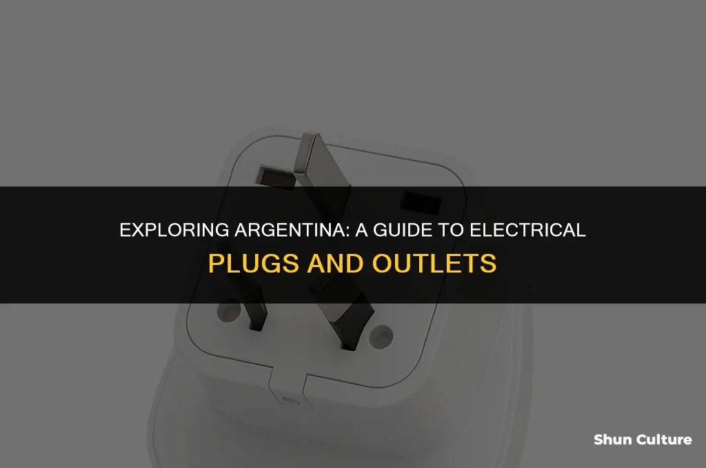 what electrical plugs are used in argentina