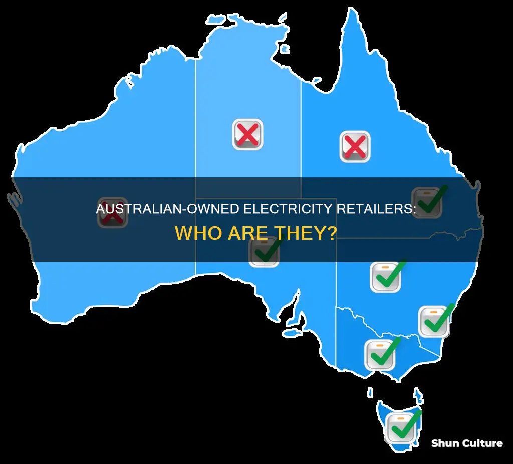 what electricity companies are australian owned