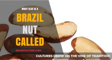 Discover the Surprising Alternative Names for the Brazil Nut