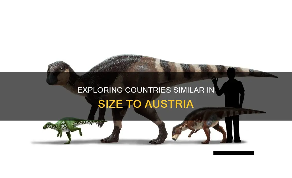what else is the same size as austria
