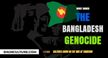 Liberation War: How Bangladesh Overcame the 1971 Genocide