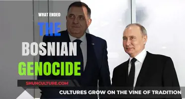 The Dayton Accords: Ending Bosnia's Genocide and Forging Peace