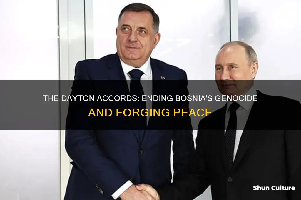 what ended the bosnian genocide
