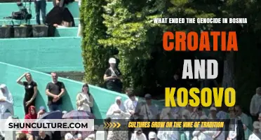 Ending the Balkan Genocide: Key Factors in Bosnia, Croatia, and Kosovo