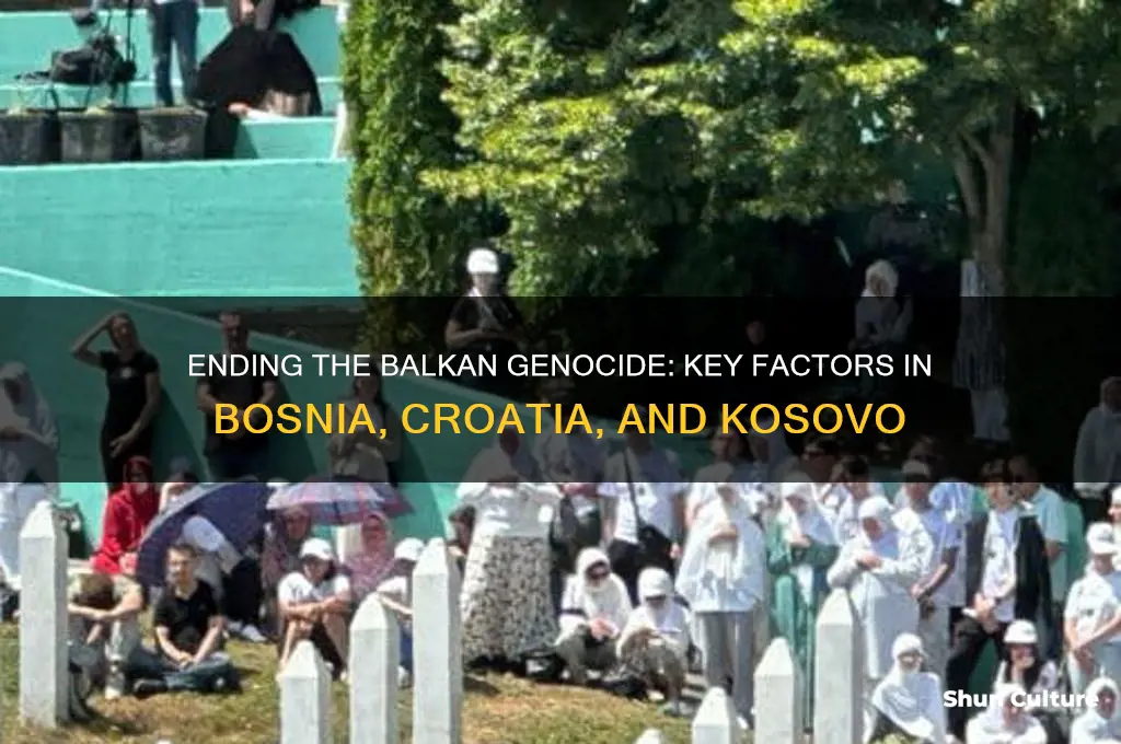 what ended the genocide in bosnia croatia and kosovo