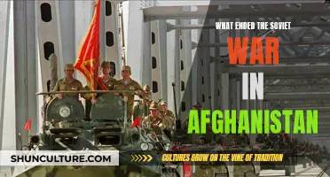 The Soviet Withdrawal: Afghanistan's Enduring Conflict and Cold War Legacy