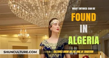 Exploring Algeria's Rich Ethical Traditions and Cultural Values